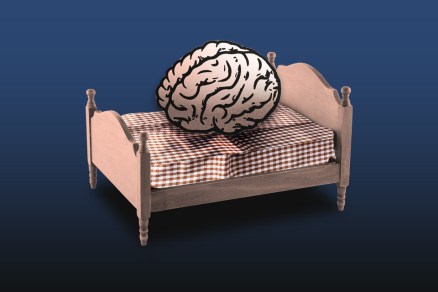 A cartoon brain on a bed to represent insomnia