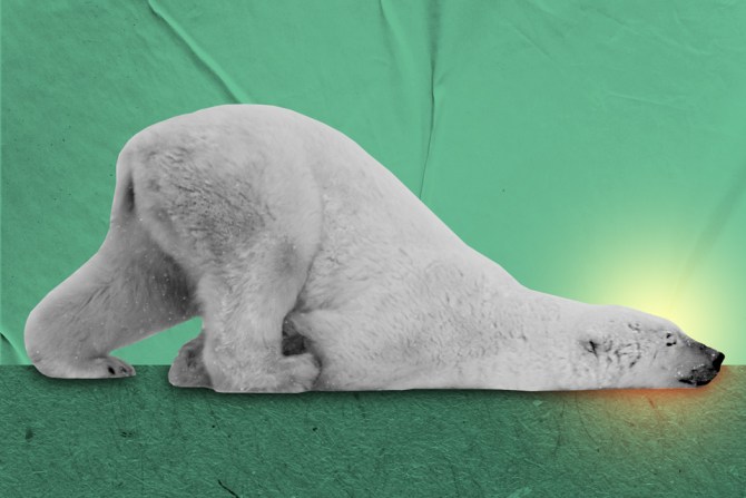 A polar bear looking like he thinks life sucks